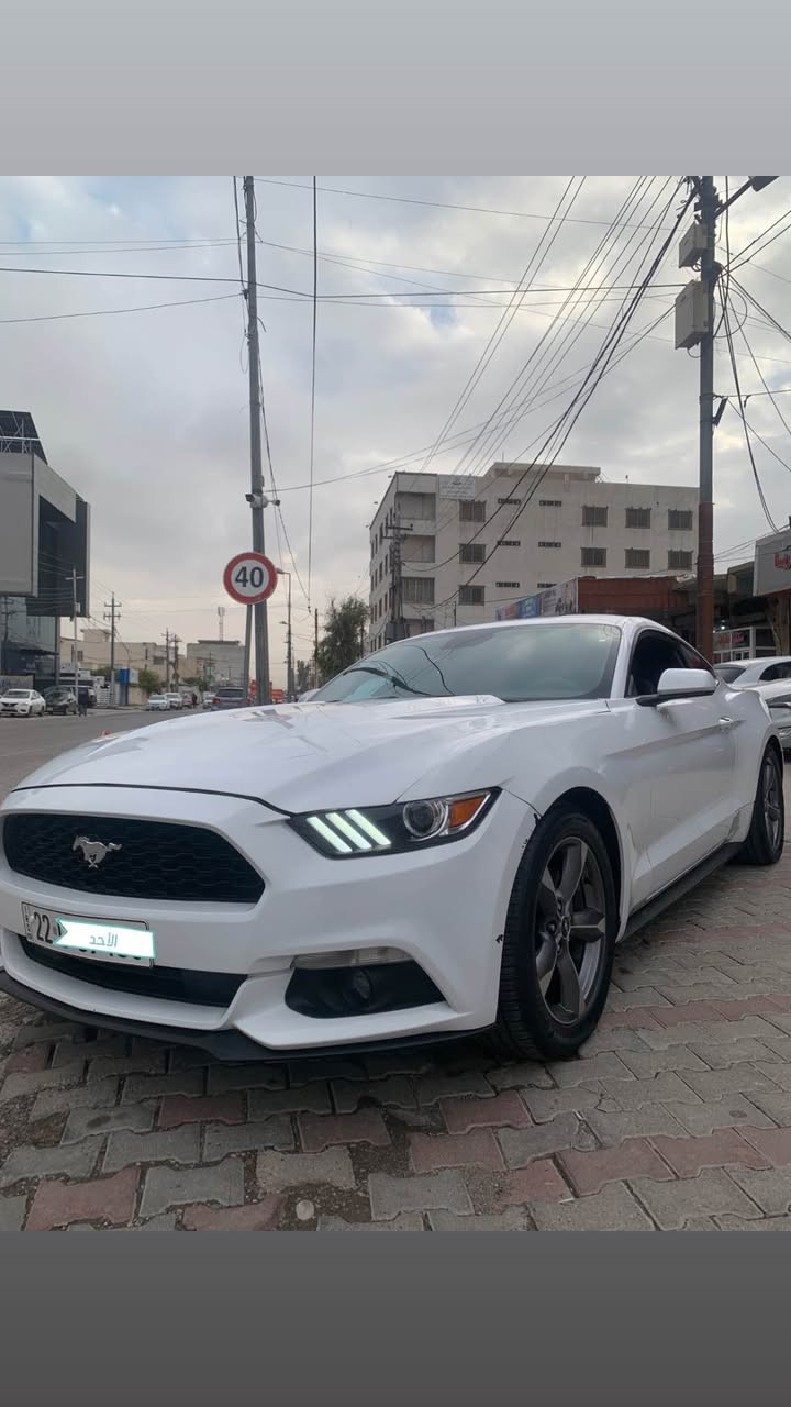 ▪️موستانج / MUSTANG , أمریکي  / 2017 
▪️رقم اربيل دولي سنوية جديد …………….،
▪️118 ألف كم / جير و محرك بشرط مامفتوح
 ▪️نص مواصفات ستاندر ، سيارة نظيف و حلو 
▪️حجم المحرك / V6 ستة سلندر كبس …….
▪️ثلاث قطع صبغ دبي ، بدون دواخل بدون ايرباك
▪️نص باب و نص جامرلغ خلفي صبغ عراق بدون حادث
▪️عنوان اربيل / *********** واتس اب 

▪️سيارة معروضة للبيع ( ١٣٩ $ ) بيها مجال أربيل, العراق
