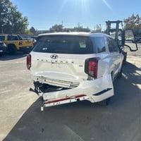 باليسايد كلكرافي • ٢٠٢٤ • حادث دعامية