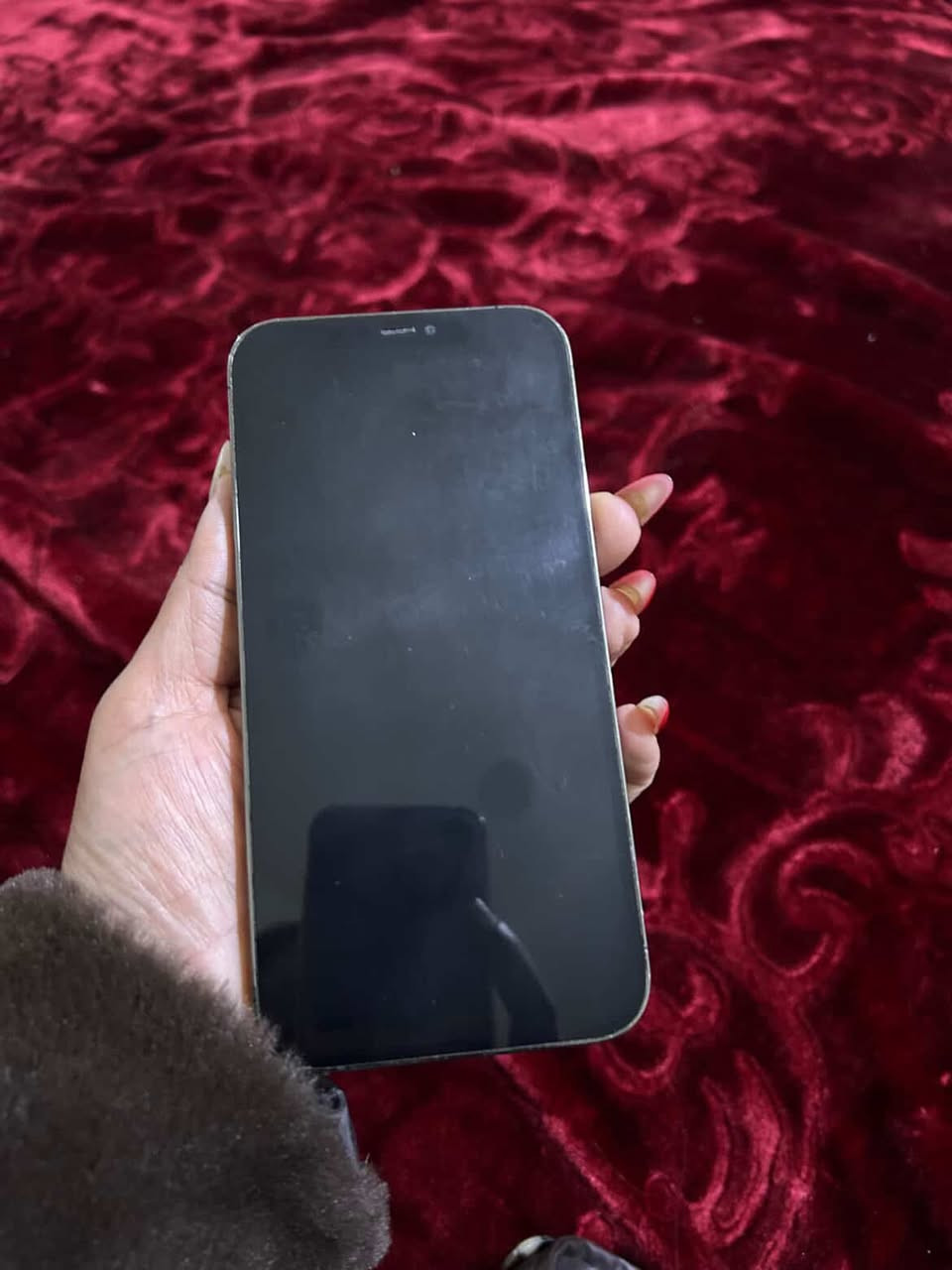 ايفون 12 بروماكس
ذاكرة 512
باتري 92
مكفول كفاله عامه فقط ضهر بي فطور
بدون ملقحات
تفاصيله موضحه بالصور

السعر 450 وبي مجال

عنواني دوره البوعيثه
***********
