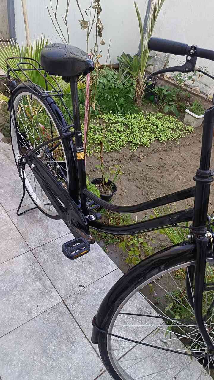 ياباني مديل 2025
قبل فتره طلعته من الحاويه 
حجم 27 
السعر 120


**إذا كنت صاحب هذا الإعلان وتريد حذفه لأي سبب، رجاءا أرسل رسالة إلى الدعم الفني**