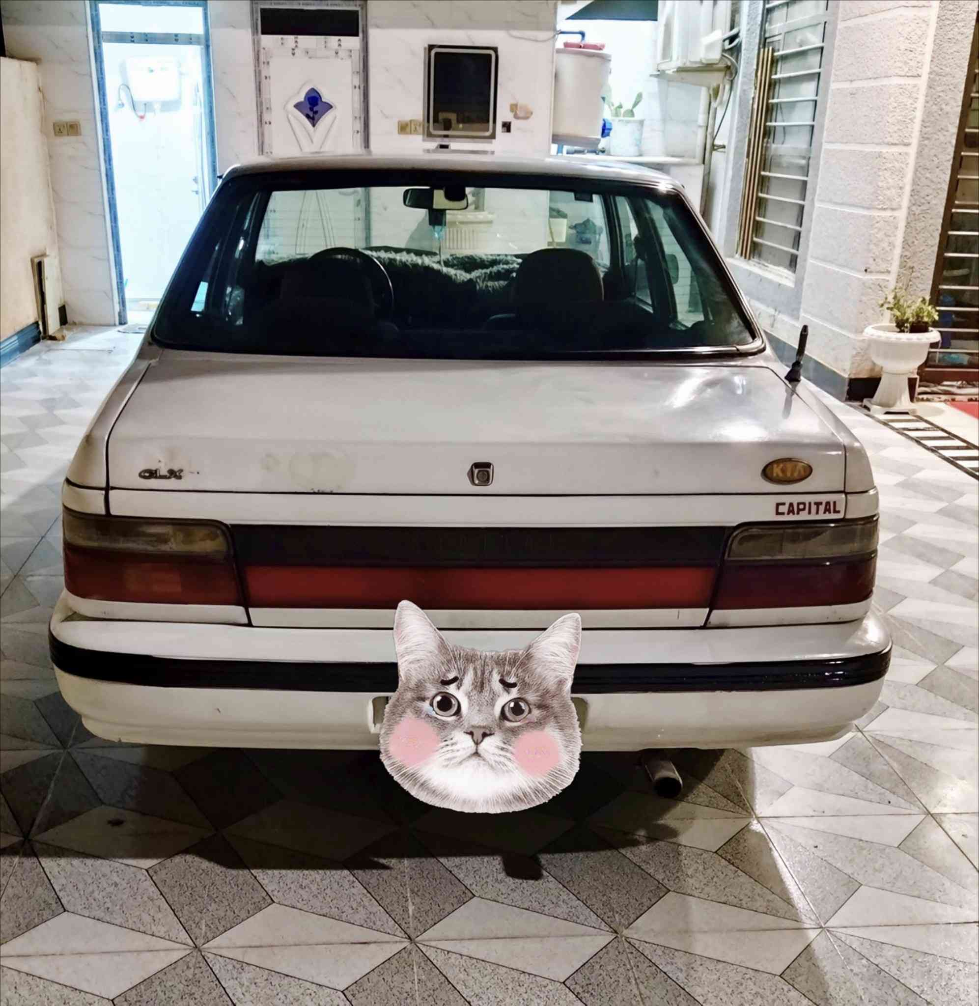 السلام عليكم
كيا كابيتال موديل 95 بابل أوتوماتيك الرقم الانكليزي  سنويته مجددة ل2030  بأسمنه حجم المحرك 1600مسكر المايعوج ولف سيارة حلوة مكينة وكير خير من الله تخم تاير العنوان .. واسط .الاحرار .قرب حقل الاحدب النفطي باقي المعلومات والسعر اتصل خاص على الرقم *********** وبيك خير ودلل.
