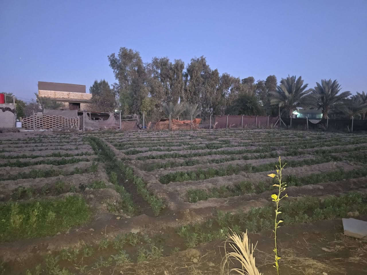 قطعة أرض للبيع
المساحة: 1000 متر
الواجهة: 20 متر
النزال: 50 متر
الموقع: الصياحية – قرب كوين بارك
موقع مميز وقريب من الشارع، موقع جميل ومناسب للسكن أو الاستثمار
سند الأرض: 25 زراعي
للاستفسار أكثر الاتصال على الأرقام التالية:
📞 ***********
📞 ***********
📞 ***********
