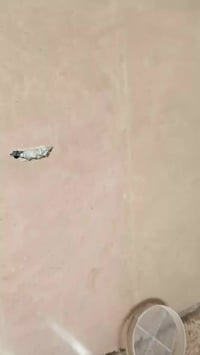 جص مساطر • متفرغ • العسكري