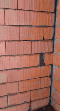 #بشار المصرى
كادر بناء مصرى شغل درجه اولى استلام مهندس مقيم ببغداد الجديده رقمي بي واتساب ***********
