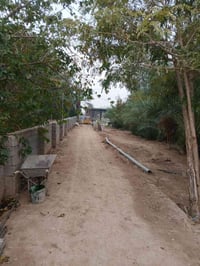 نص دونم ع الشارع،العام ١٢٥٠ متر طابو صرف مع دار كبير ومزروع كافة الزرع...