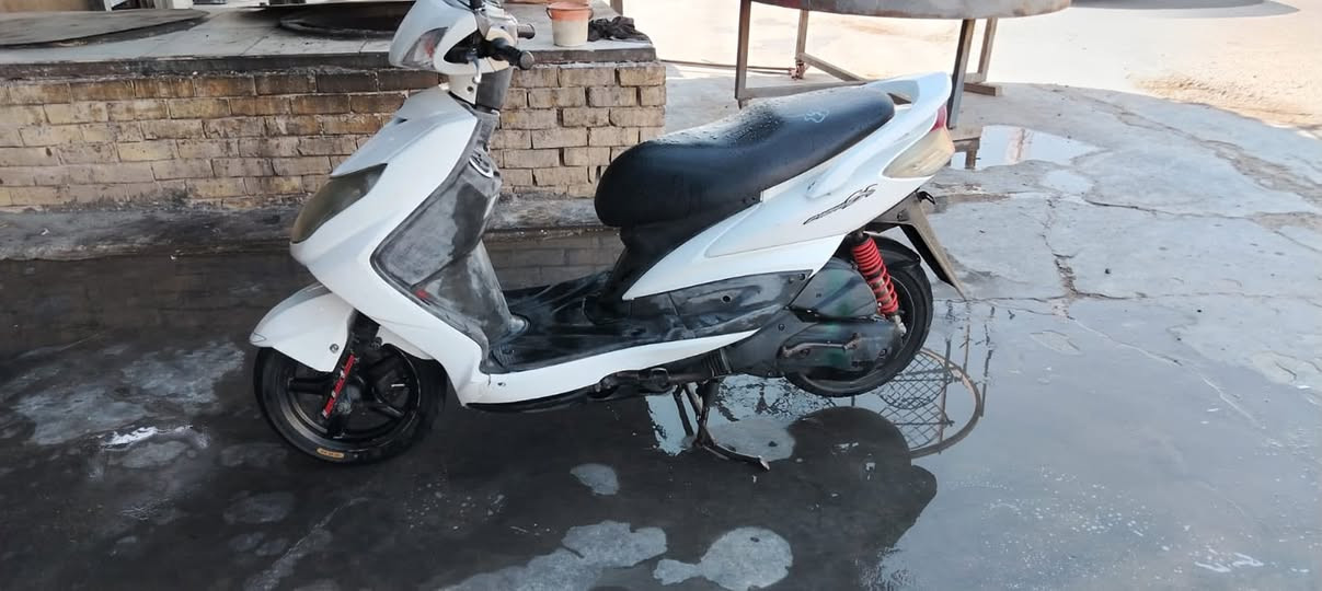 سكنس فحل مكفوله للبيع مكلف بلنشر
‭***********‬
