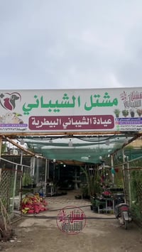 مشتل الشيباني • تخفيضات • نباتات داخلية وخارجية