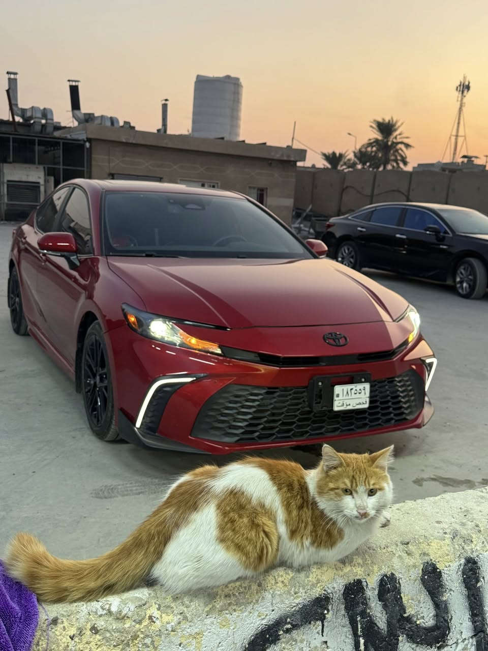 السلام عليكم
كامري 25 
رقم بغداد 
فتحة 
بدون ايرباك 
ماشية 21 الف 
السيارة فقط صندوق صبغ 
والجاملغ الخلفي بارد 
كشن كهرباء 
المراية الوسطية تعتيم 
شاحن وايرليس 
3 وضعيات قيادة 
ليت زنون بلاد 
لد دعامية بلادي 
داخل اسود خط ابيض 
السيارة بسمي مرقم كامل بغداد ثاني يوم تحويل 
مكان السيارة بغداد السيدية او العامرية 
سعره حلو بنسبة الى حادثه وتفاصيله اليحب يتصل وبخدمة 
*********** واتساب او اتصل
