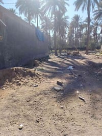 الزراعي حي الاسرى • ١٢٠م • واجهة ٦م