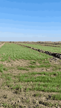 #للبيع
ارض زراعيه 11دونم
في #الديوانية_السنية_الشارع_السياحي
الشارع السياحي  #سنيه_حي_الفرات 🛣️
#الارض صالحه للزراعه
تحتوي على حصه مائيه 💦
الواجهه 100متر
النزال 275متر
👈تحتوي على حصه مائيه
للاستفسار مراجعه مكتب ابو ولي النائلي للعقار في السنية الشارع التجاري جوار عمارة سيد كريم دنكه
***********
