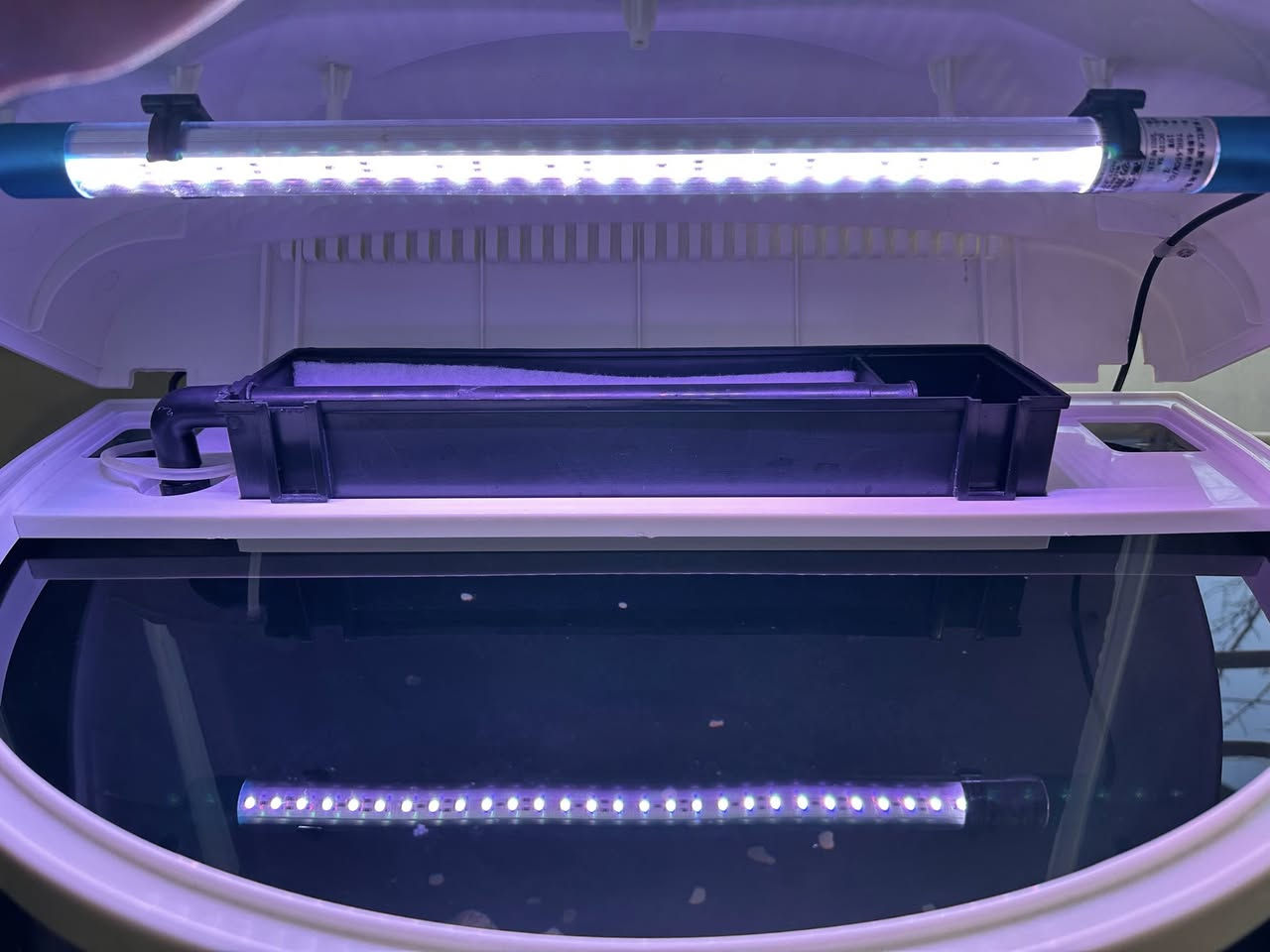 نرخی بۆتە ١٣٥ ھەزار داشكانی بۆ كراوە
حەوزێك پێشی كامل خڕە و تایبەتە بۆ  جوانی  
ئاوگۆڕینی ناوێت فلتەری شەریكەی خۆی لەگەڵە 
لیدێكی مواسەفاتی شەریكەی  تێدایە چەندین ڕەنگی جیاوازی تێدایەو كز و زیاد ئەكرێت بە خواستی خۆت
مۆدی گۆڕینی ڕەنگەكانی تیایە بە شێوەی ئۆتۆماتیك
 چەند بەردێكی زۆر تایبەتی لەگەڵدایە
ژێری لمێكی زۆری تێدایە
پشتی  باگراوندی ڕەشی لێ دراوە
قیاسی حەوزەكە بەبێ مێز درێژی ٦٠ سم بەرزی ٧٦ سم تیرەی پانیەكەی بۆ پێشەكەی ٣٦ سم 
بەرزی حەوزەكە بە مێزەكەوە ١٤٥ سم
تێبینی : حەوزەكە بەكارهاتووە
___
ئەوەی ویستی نامە بنێرێت لە واتس ئەپ یا ڤایبەر 
***********
گەیاندنمان تەنھا بۆ ناو سلێمانی ھەیە
