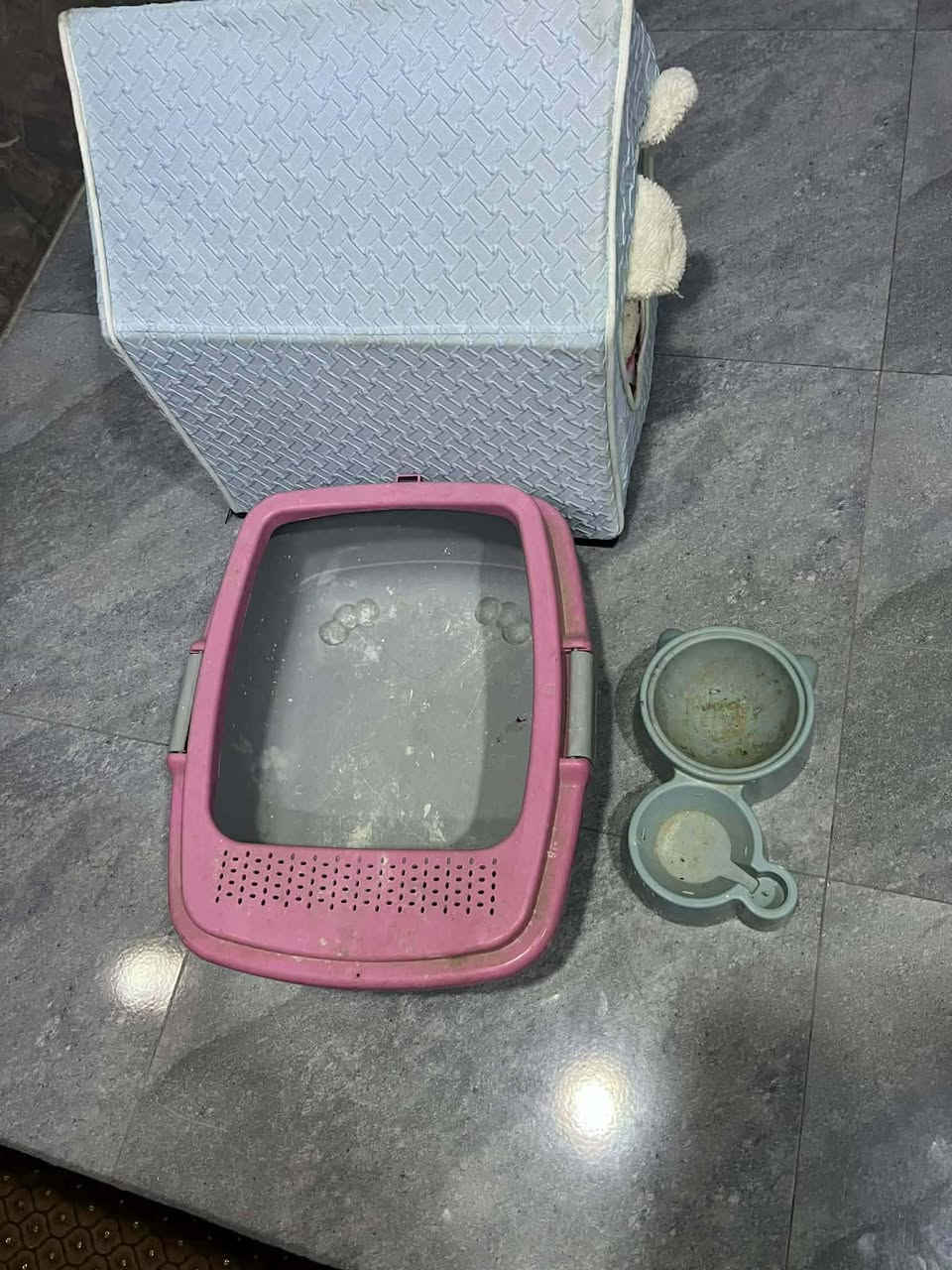 للبيع بيت قطة موصل ايسر الشري يدفع سعر


**إذا كنت صاحب هذا الإعلان وتريد حذفه لأي سبب، رجاءا أرسل رسالة إلى الدعم الفني**