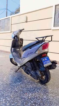 ماكس منغولي • نضيفه • أوراق موجوده