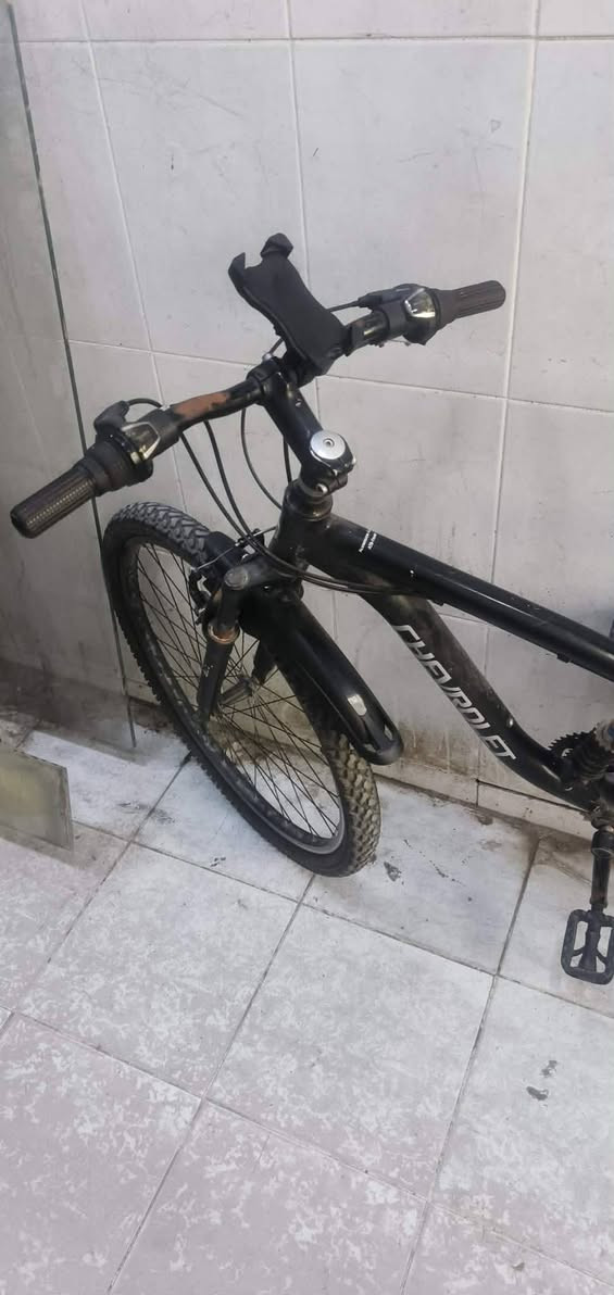 حجم 26 كير ورا وكير كدام تايرات جدد جدد طفاريات جدد سطابات جدد فحمات جدد سعر 80


**إذا كنت صاحب هذا الإعلان وتريد حذفه لأي سبب، رجاءا أرسل رسالة إلى الدعم الفني**