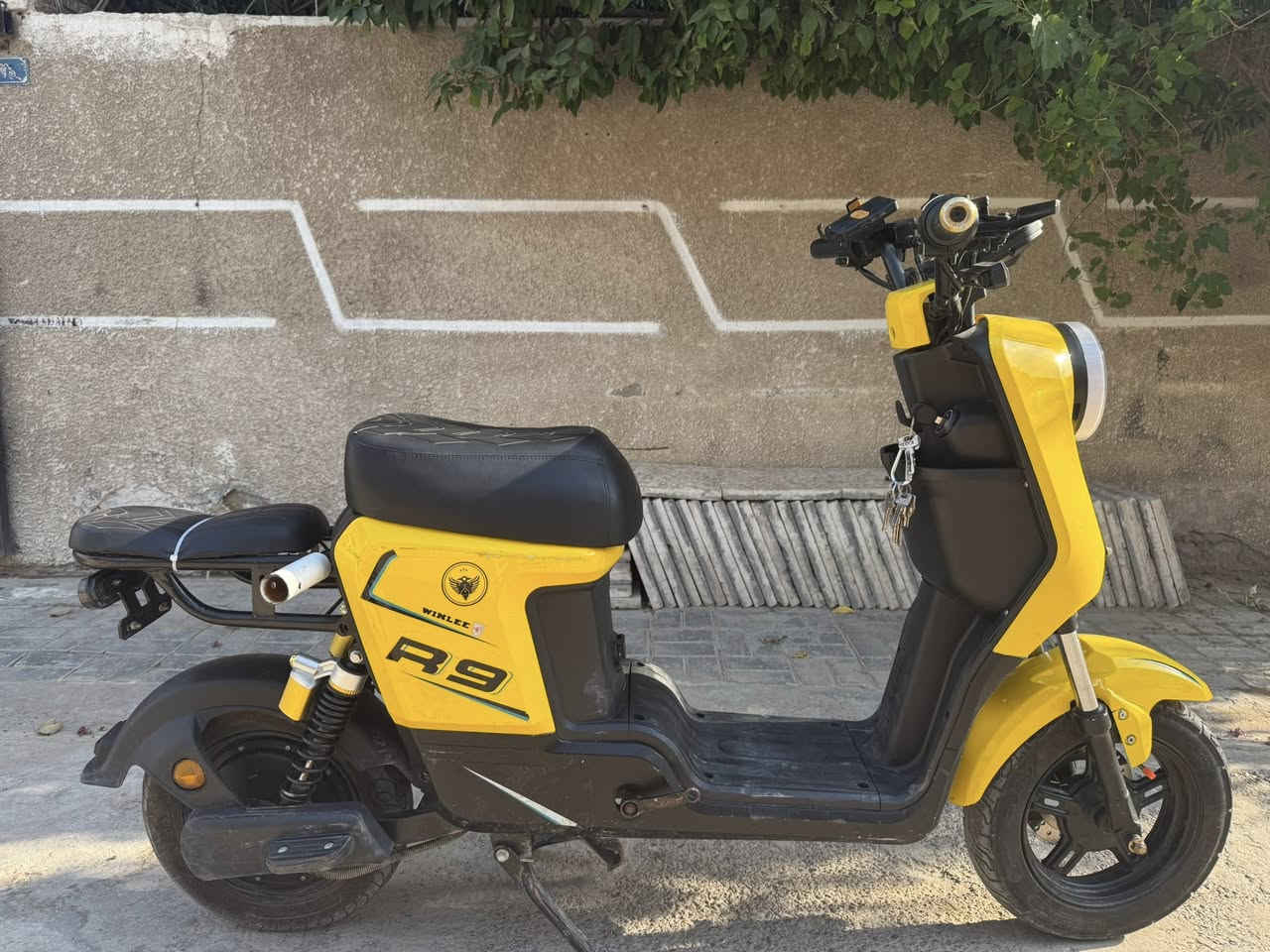 🚲 للبيع دراجة شحن R9
مكاني بقداد 

✅ 5 بطاريات
✅ السرعة تصل إلى 109

🔋 البطاريات تعبانة وتمشي تقريباً 10 كم بالشحنة الواحدة.

🛠️ الدراجة مستعملة وبيها خدوش وآثار استخدام موضحة بالفيديو بكل وضوح.

💰 السعر: خاص

الجاد بالشراء يراسل خاص
فقط مراسلة واتساب 
***********

مكاني بقداد
