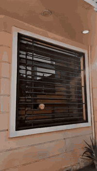 بيت للبيع في حي الاطباء _ بمساحة 150 متر ( 5 واجهة ونزال 30 ) تصميم حديث مكون من طابقين و3 غرف نوم واستقبال ومطبخ مفتوح على الهول و2 حمام وبالكونة مطلة على الشارع وحديقة امامية ، خدمات كاملة ( ماء ، كهرباء ، صرف صحي ) 
للاستفسار : *********** 
***********
