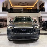 إسكيب بلاتينوم • ٢٠٢٤ • ضرر قطعة