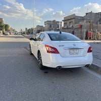 مكسيما • ٢٠١٠ • بصرة