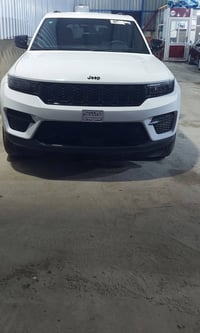 لاريدو • ٢٠٢٤ • تقرير غرق