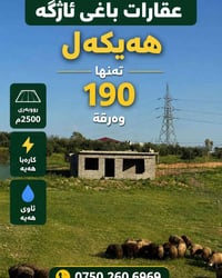 🏡 هەیکەل بۆ فرۆشتن  💰 نرخی تەنها 190 وەرقە  📍 لە نزیک شەقامی سەرەکی 📐 ...