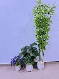 قطع اخيره • جديد • ابي الخصيب حمدان