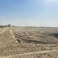 المحمودية • ٥دونم • أرض زراعية