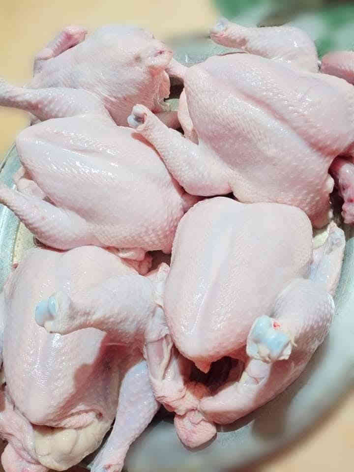 أرضا الزبون هدفنا عل.  خشن🔥   سمك.  🐟 اي وزن موجود سعر 5500🔥🩵                                                            🔴دجاج كلوين ونص 😱7  عرض      7كلوات افخاذ 30 لف                                🔴صدر مسحب 6500                                                                                                🔴 صدر  بعضم 4500                                                                                                    🔴  أفخاذ 4500                     🔥🐔.   كلة فرش  🩵  🔥                                                                        🔴اكباد 3500                     ..
‏ 💪  متوفر توصيل داخل الكوت 💪،🛵 ***********.                                    عنواني كوت شهداء شارع معمل المرور قرب حسينيت قمر بني هاشم.   مقابل مؤسست العين
