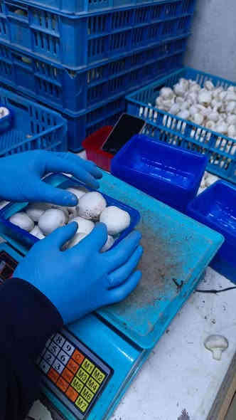 السلام عليكم زبائننا الكرام

توفر الفطر انتاج عراقي علبه ب2000 دينار للحجز مراسلة الصفحه او الاتصال على *********** واتس اب
