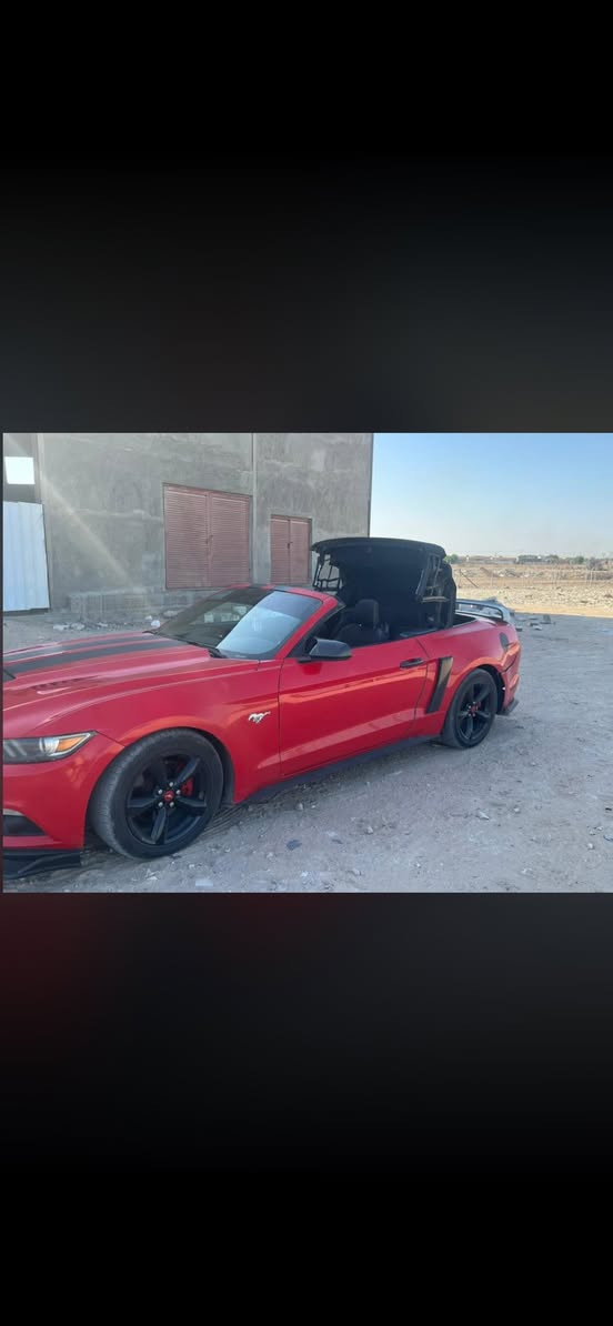 سلام عليكم
موستنك ٢٠١٥ كشف ٦سلندر
مكينه وكير جديده بلجيس
سياره نضيفه وحلو نصبته حلوه
-بيه دمام مال صوت منضومه كامله وبيه
-اكزوز بصمه تحكم عل ريمونت شغله وطفيه
سوناره موجود وي صور
سياره نقصه فقط حداديه فقط حداديته شويه تعبانه
-سعر ١١٥ ورقه وبيه مجال
للاستفسار /***********
