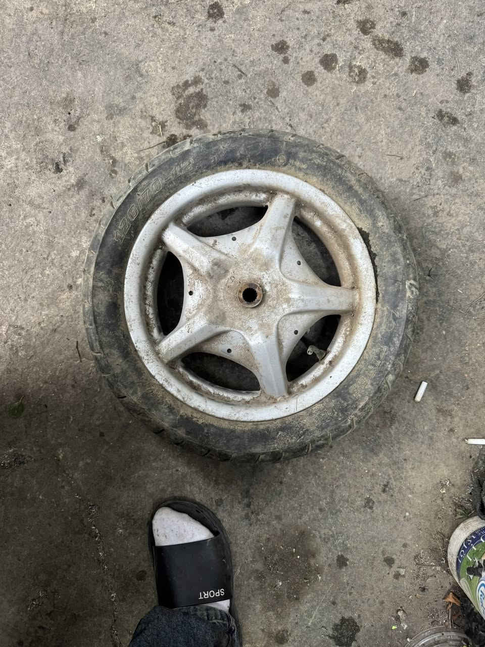 شتريد موجود بسعر حلو مكاني حريه ***********
