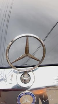 ١٩٩١ • محرك ٣٢٠ • صبغ درجه اولى