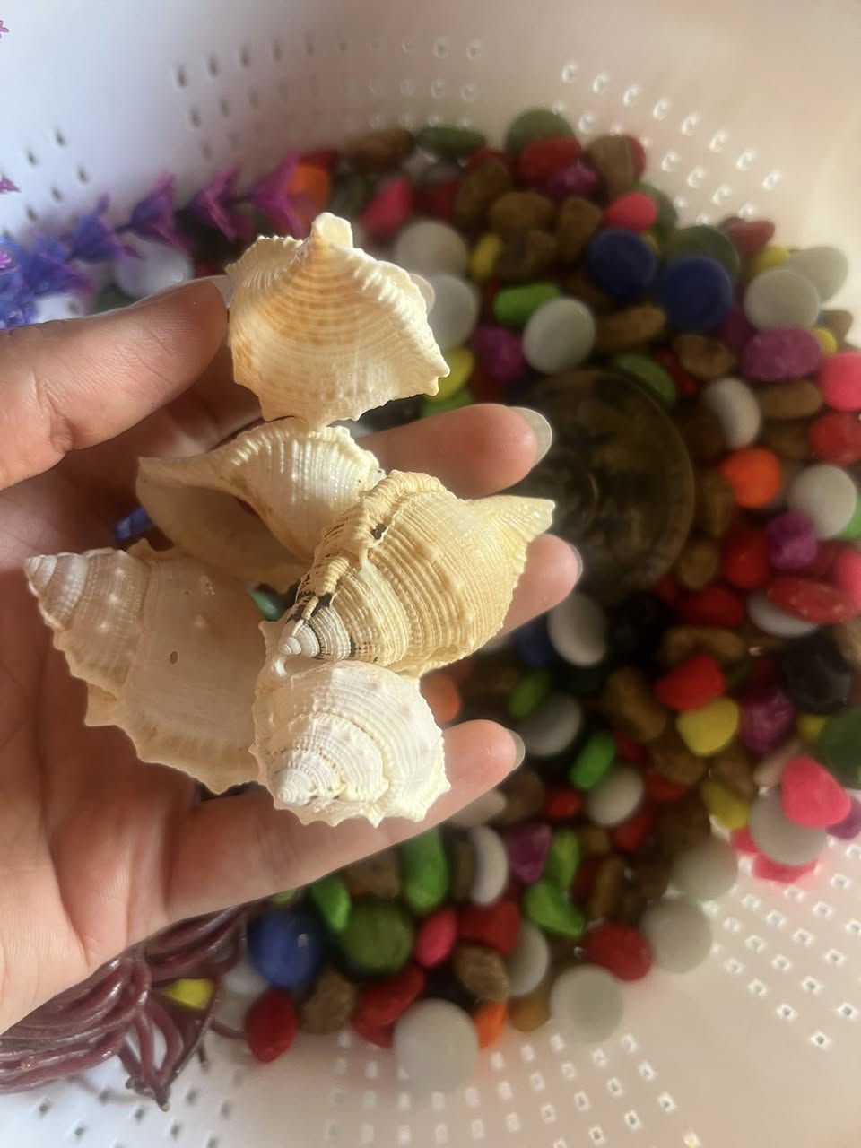 سوالف حوض سمك 
خلي سعرك وبالعافية


**إذا كنت صاحب هذا الإعلان وتريد حذفه لأي سبب، رجاءا أرسل رسالة إلى الدعم الفني**