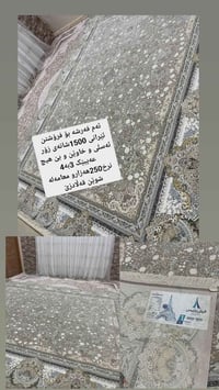 للبيع • زربية • راسل