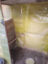 قفص للبيع • بغداد الحرية • دور الشؤون