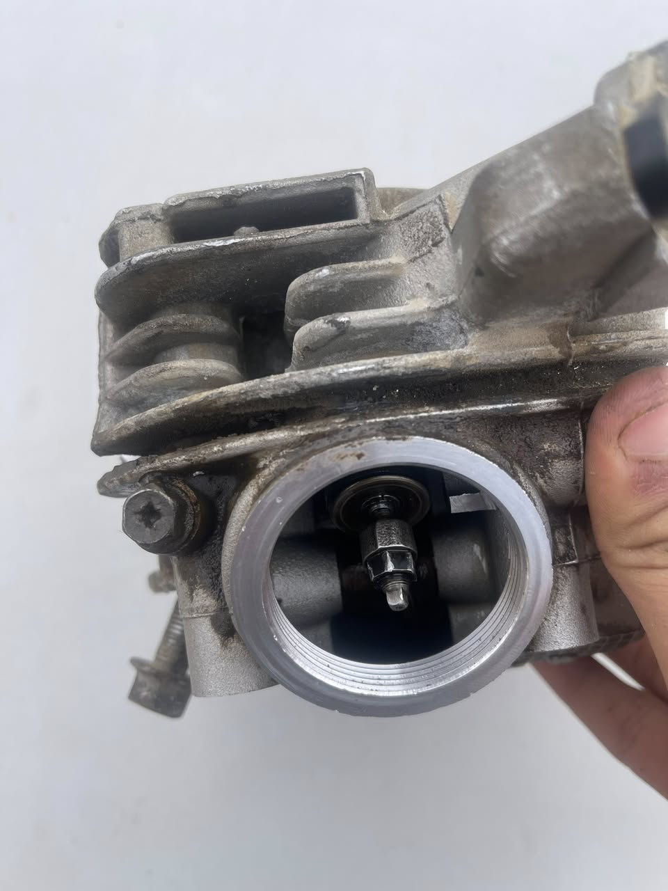 كور ماكس تفصيخ للبيع
النضافه شوفت عينك جيب وشد السعر15 🔒🔒


**إذا كنت صاحب هذا الإعلان وتريد حذفه لأي سبب، رجاءا أرسل رسالة إلى الدعم الفني**