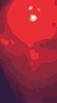 سلام عليكمgtrثعلب للبيع او مراوس شعدك نزل بوشه58ونص كور بصمه4ولف دراجه بعدهي علا سحگ ستوني مكمل مكينتهه تجفيت كامل وشغل درجه اوله شغل ساجد ابن جابر مكينه اله خرسه تجي وشوف دراجه شلعه ومعدل طياره كابريته بلادي كهربائياتهه كلهه شغاله سلف نگره بكل وقت علا شرط سكنات لايت بگ لايت وهندرهه موجود دراجه ماعايزه شي مكاني نجف للتواصل خاص أو رقم(***********)
