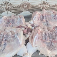 دجاج • النيل • ليلة النصف