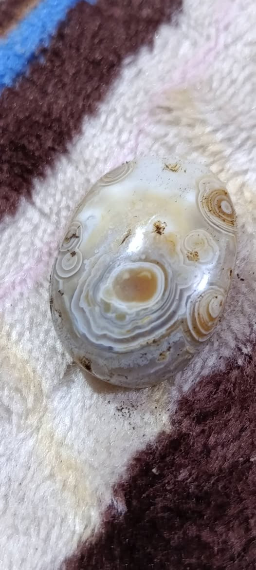 السلام عليكم ورحمة الله وبركاته
اللهم صل على محمد وال محمد


**إذا كنت صاحب هذا الإعلان وتريد حذفه لأي سبب، رجاءا أرسل رسالة إلى الدعم الفني**