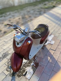 عبد حليم • سلف شغال • دوشمة كشن