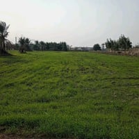 ٢ دونم • طابو زراعي • معمل الأسمنت الكوفه