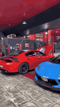 جارجر دايتونا 🧡22سياره بجم كبس بدون ايرباك ودواخل فول عداد260 سياره عليها  غراض حلوه اربيل بسمي مضلل وسياره حيل جديده ومعروفه موصافت الدايتوانا على فأه سياره حيل قويه 5700 ارغب  شي سياره لون برتقالي الشذره  دركه اصليه مضومه زنون ايركل متغير وتزويد فول حادثه جاملغ وباب خلفي فقط 
رقمي الراغب بالشراء *********** مكان السياره الكاظمية
