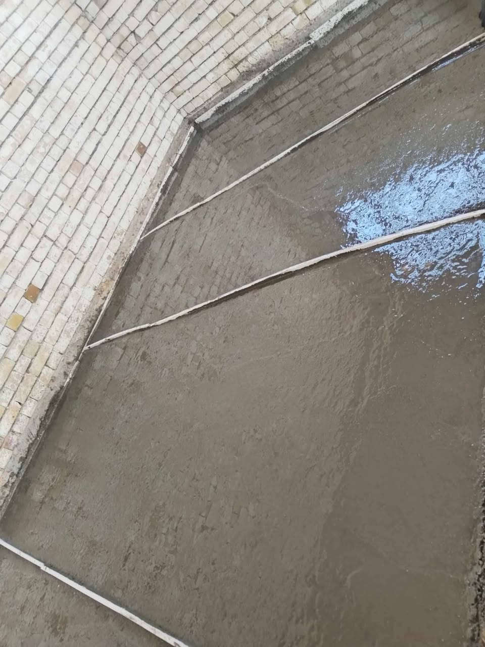 السلام عليكم اخوان اي شخص يحتاج خباطه صب ارضيه دنك بيتونه أساس اذب سبيس أحدل شغل درجه اولى  للاتصال *********** //***********
