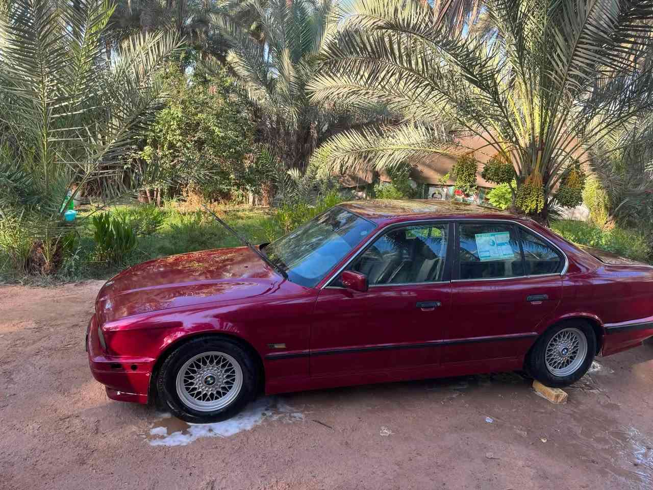 سلام عليكم بيئم 525 اصل بليته مديل 1992 مكينه مسكر عموديه فول فتحه صبغ عام حادديه زينه يعني غرفتها نضافتها 50 بل ميه مكينه وكير بجيس بعدهن سياره نضيف ونصبتها حلوه نفس الصور يحتاجلها شوي ترتيبات كهربائياتها كلها شغاله تبريد نقص كمبريسر سياره عليها تخم تاير جديد سياره نضيفه وشايله روحها رقمها سليمانيه كبل مداور بسم عربي مو كردي سعر 45 وبيها مجال بسيط للشراي ليحب يستفسر اكثر يتصل على هذا رقم ***********
