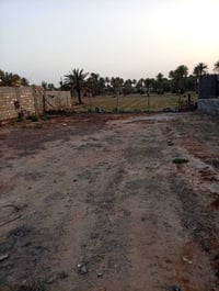 شيخ حبيب الحلاوي • نزلة ابو كيره • ٣٠٠م