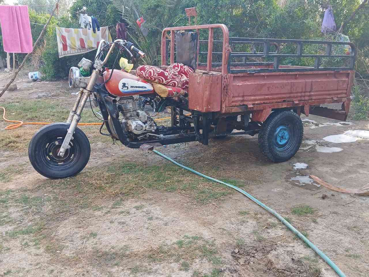 سلام عليكم ستوته البيع ديوان  كلك كلك  مكفولي العنوان صويره تصال عل رقم.  ***********
