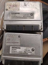 عقل صقر • للبيع • كلاهما