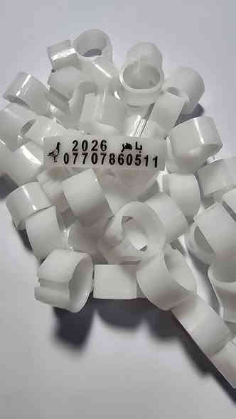 متاح عمل حجول حفر
| فافون وبلاستك

(1) سعر ال 100 حجل ب13الف توصيل مجاناً
(2)سعر ال50 حجل ب10 الف توصيل مجاناً
(3) سعر ال 150حجل ب20الف توصيل مجاناً
(4) اسم ورقمك 
(5) ضمان 5سنوات 
للحجز مراسلتي خاص
الاتصال على الرقم 📳 ***********📳***********

..SAOkrdZWdphvgpigqu
