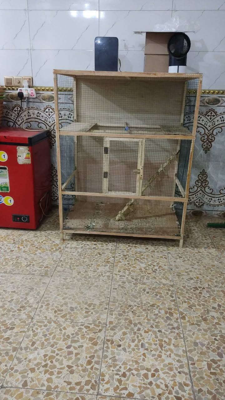 اسلام عليكم متوفر فقص كبير تفاصل قوي 
سعره 40الف


**إذا كنت صاحب هذا الإعلان وتريد حذفه لأي سبب، رجاءا أرسل رسالة إلى الدعم الفني**