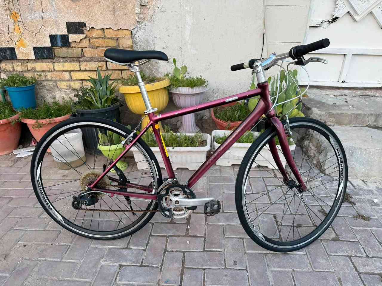 السلام عليكم
دراجة هوائية ماركة جاينت 🚴🚴‍♀️

بالة حاوية غير مستعمل بلعراق
حجم 28 -c700
المعدن المنيوم نظافة 95 ‎%‎
المكينة 8/3 بدون اي نقص

السعر 225
عنوان المحل بغداد الحرية الدور

للاستفسار الاتصال ***********
اهلا وسهلا بكم 🌸
