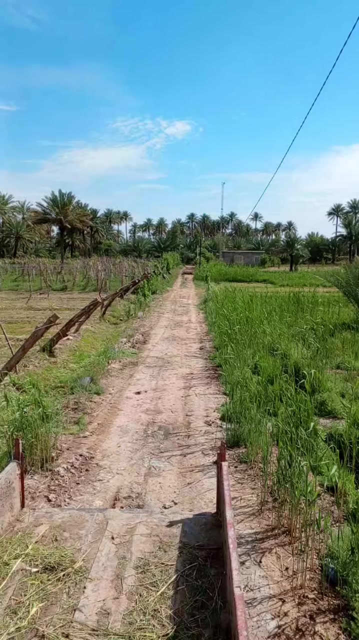 7 دوانم للبيع ***********
